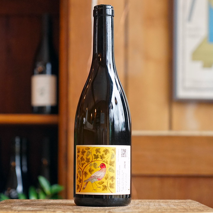 Bourgogne Aligoté 2024 - Les Flâneurs de Vin
