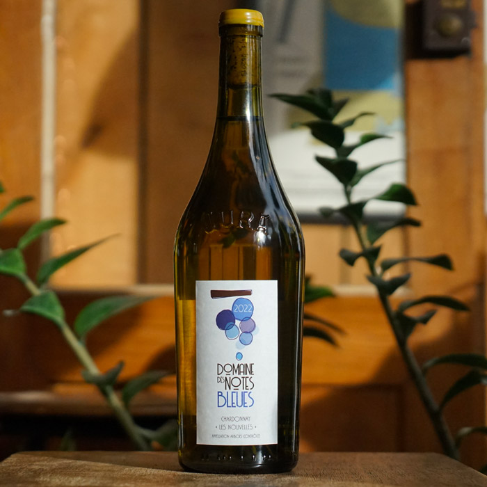Chardonnay "Les Nouvelles" 2022 - Domaine des Notes Bleues