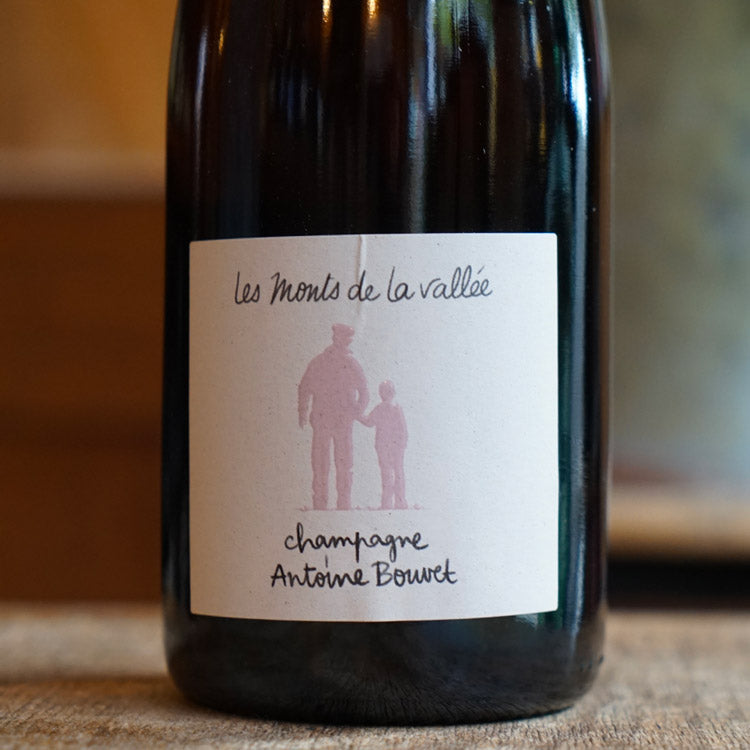 Les Monts de la Vallée Rosé - Antoine Bouvet