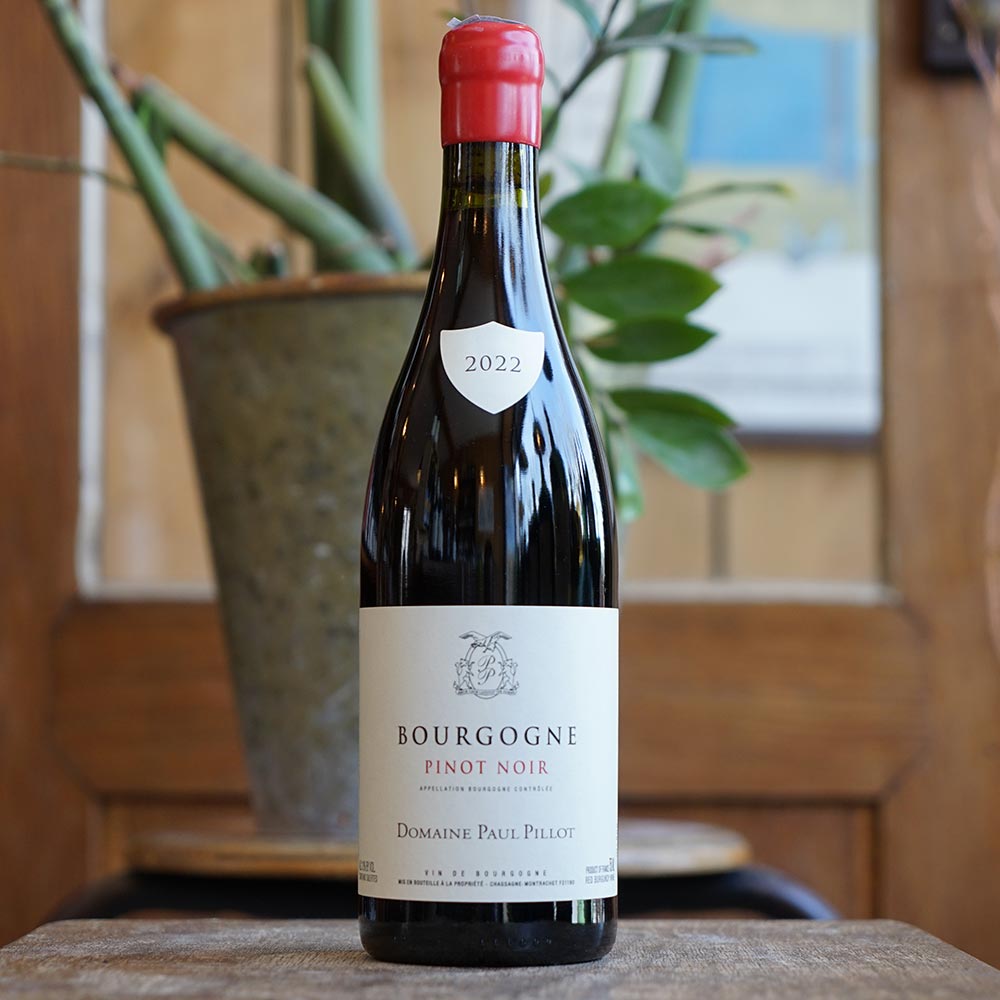 Bourgogne Pinot Noir 2022 - Paul Pillot