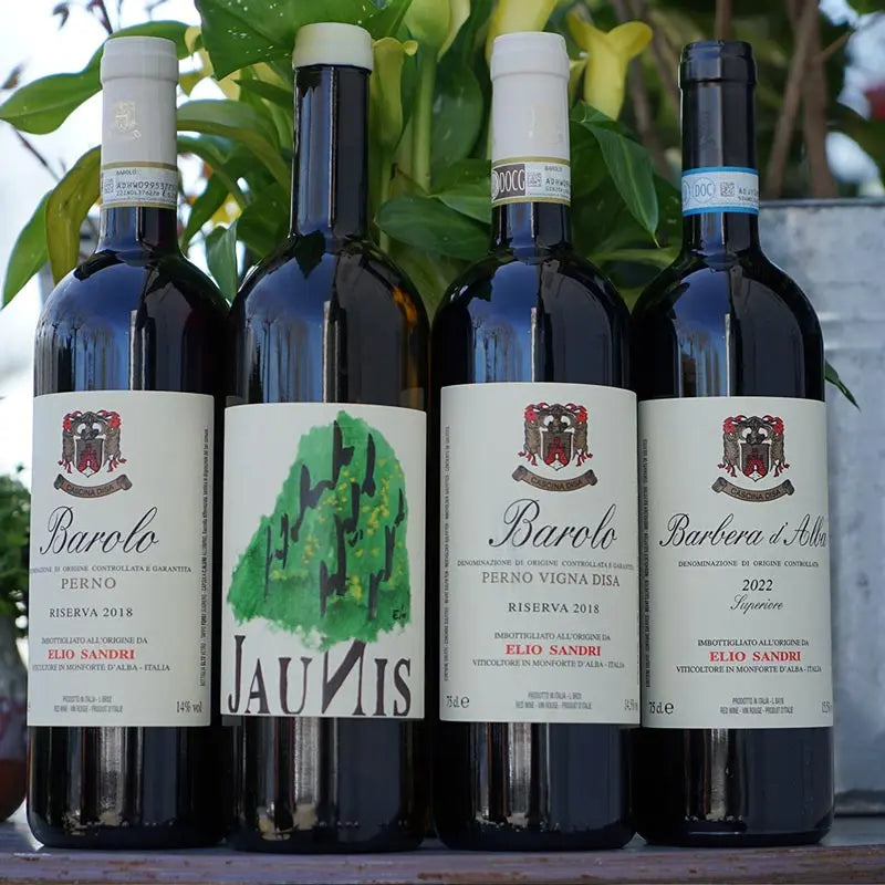 Barolo " Perno" Riserva 2018 - Elio Sandri