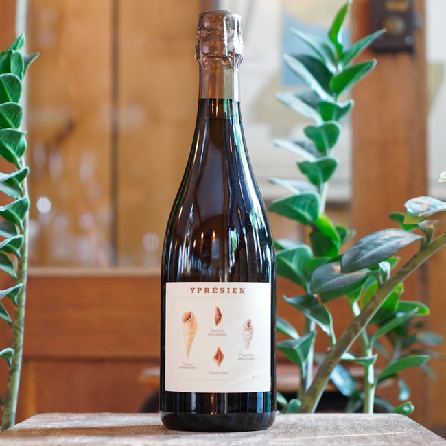 Yprésien R21 - Champagne Legrand-Latour