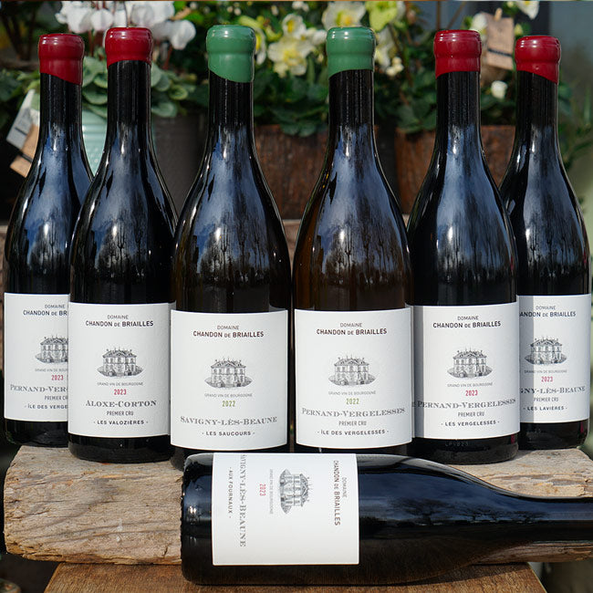 Savigny-Lès-Beaune "Aux Fourneaux" 2023 - Chandon de Briailles