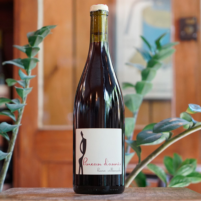Pineau d'Aunis 2023 - Hervé Villemade