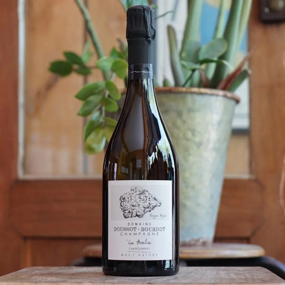 Les Moulins 2021 - Domaine Doussot Bourdot