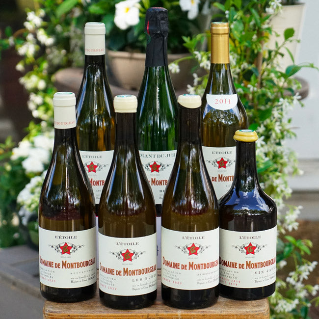 L'Étoile "Les Bas de Montangis" 2023 - Domaine de Montbourgeau