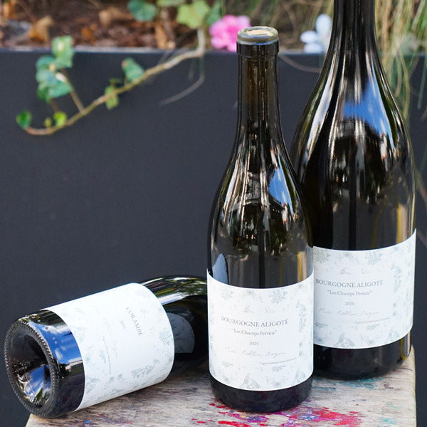 Bourgogne Aligoté "Les Champs Pertuis" 2025 - Maï Roblin Bazin