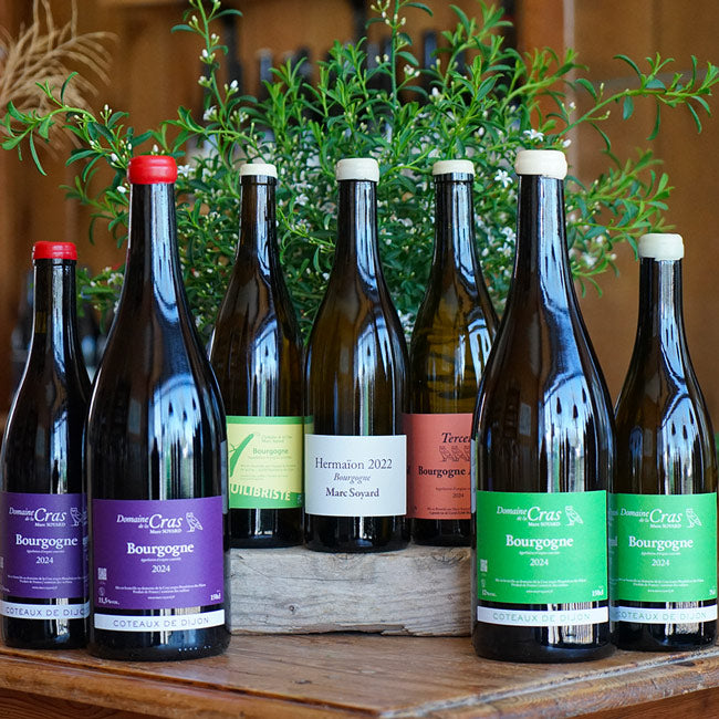 Domaine Rouge 2024 - Domaine de la Cras