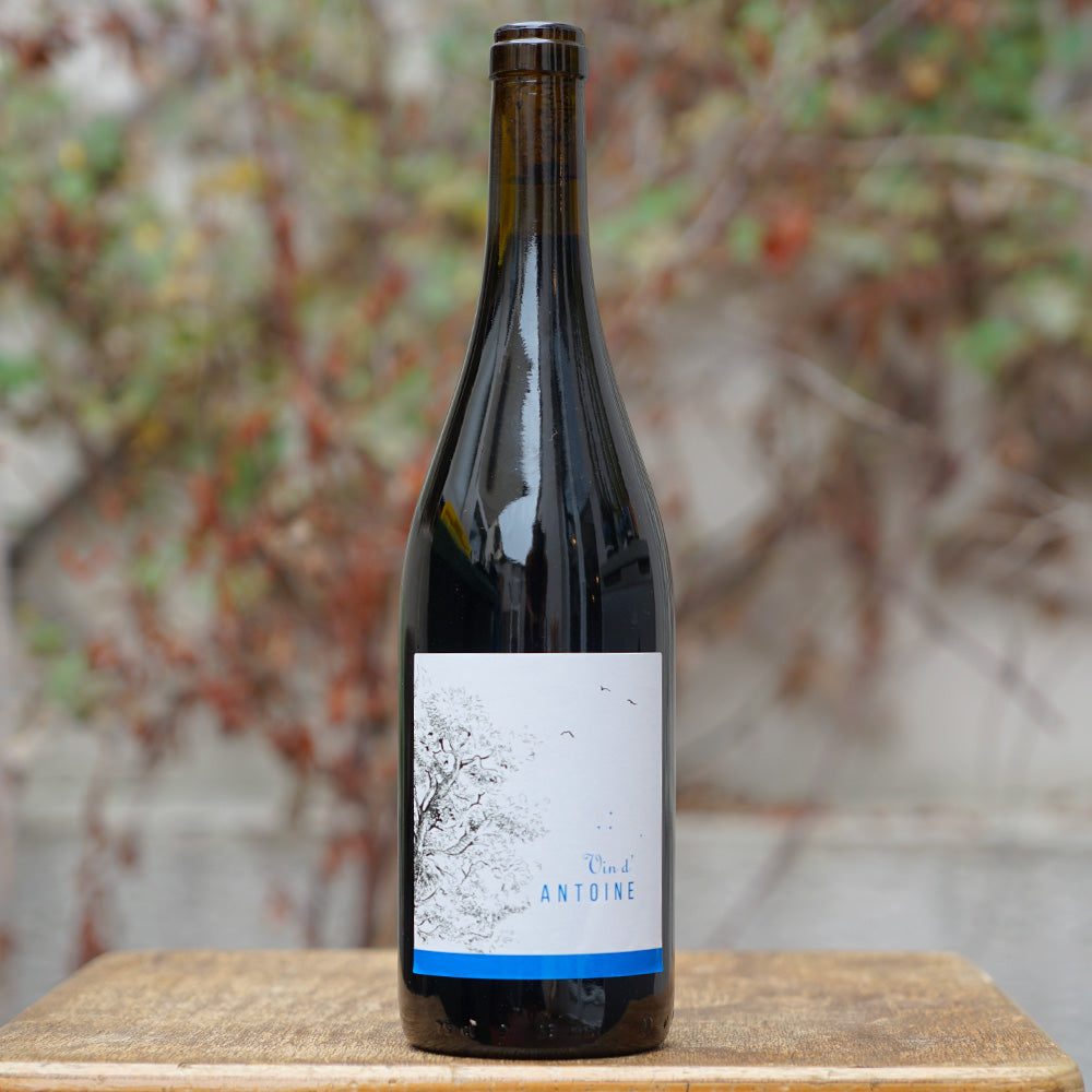 Vin d'Antoine 2022 - Saint Nicolas