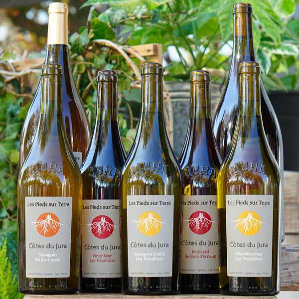 Savagnin En Boutasse 2023 - Valentin Morel