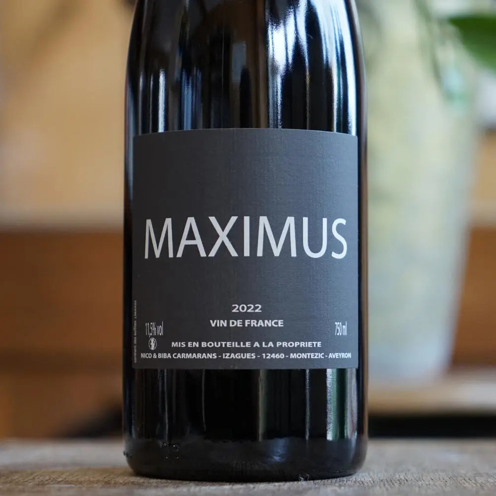 Maximus - Nicolas & Biba Carmarans