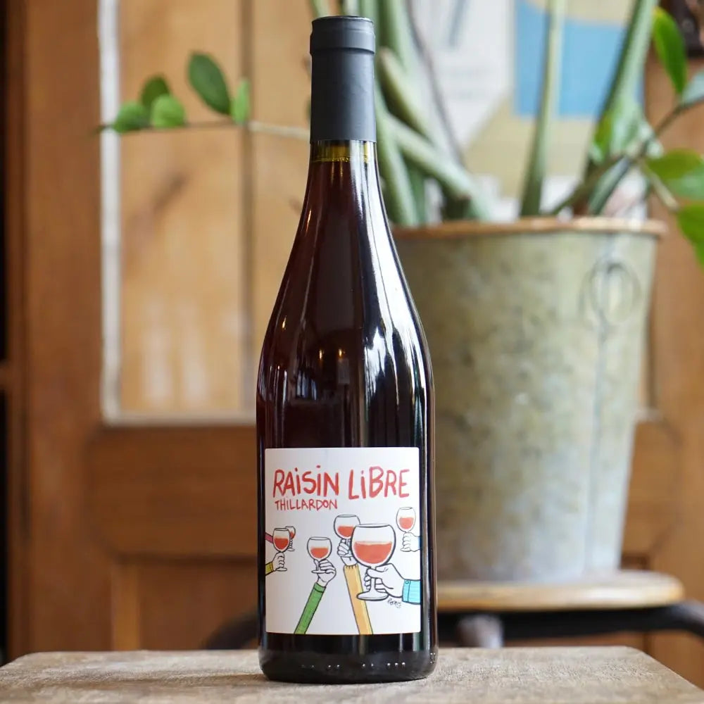 Raisin Libre 2023 - Domaine Thillardon