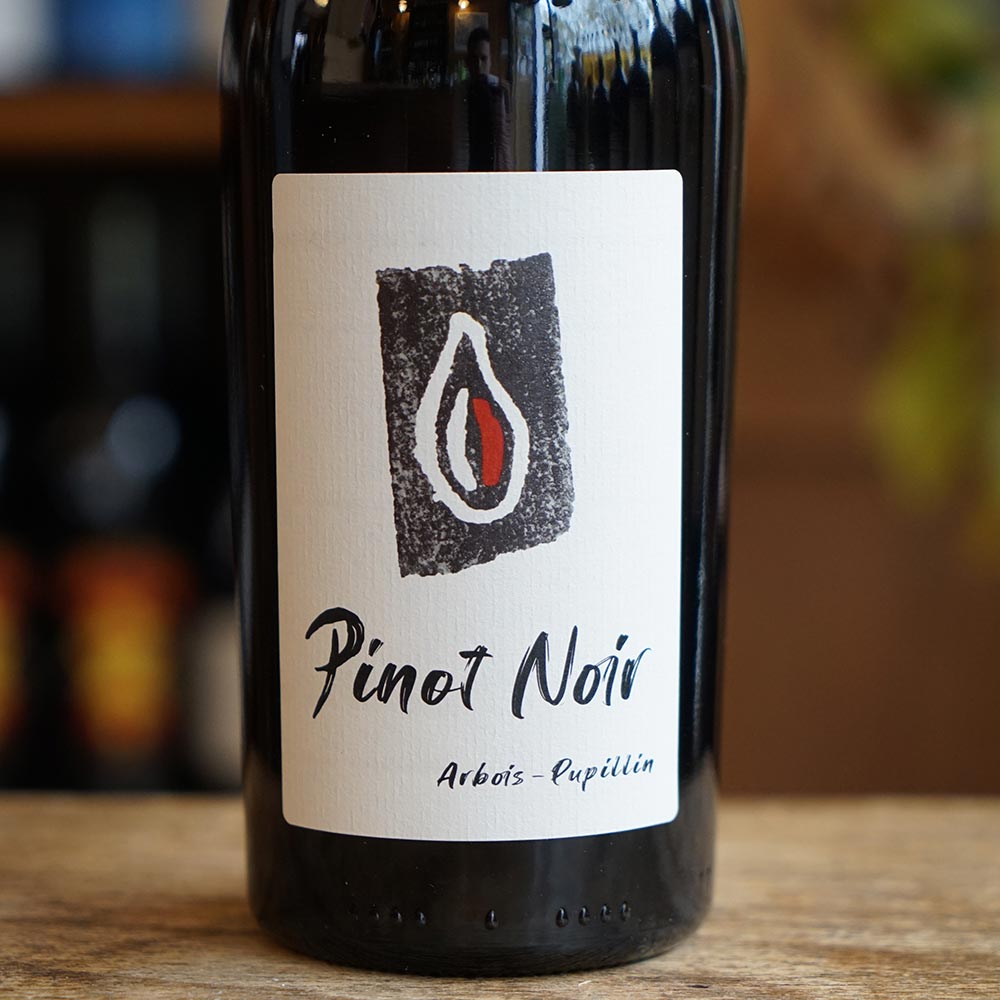 Pinot Noir 2023 - Kevin Bouillet