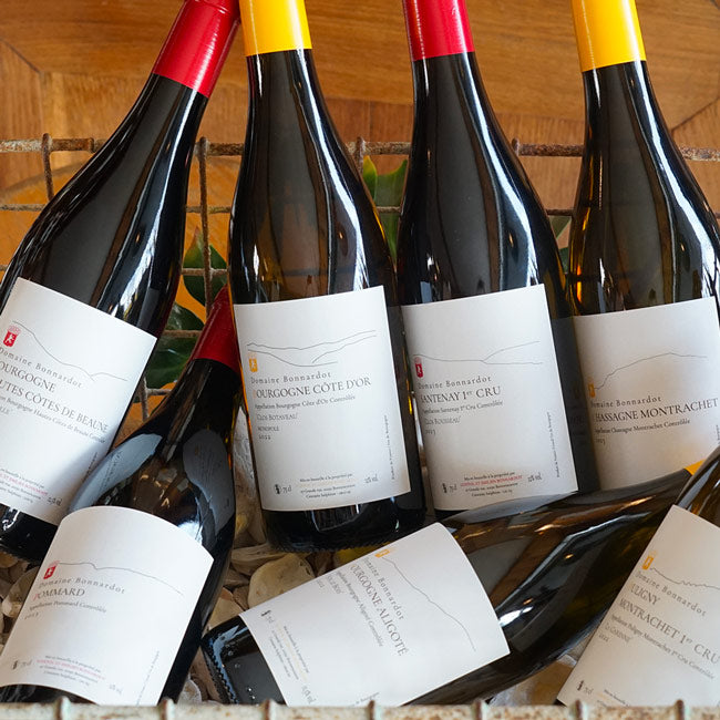 Chassagne Montrachet 2023 - Domaine Bonnardot