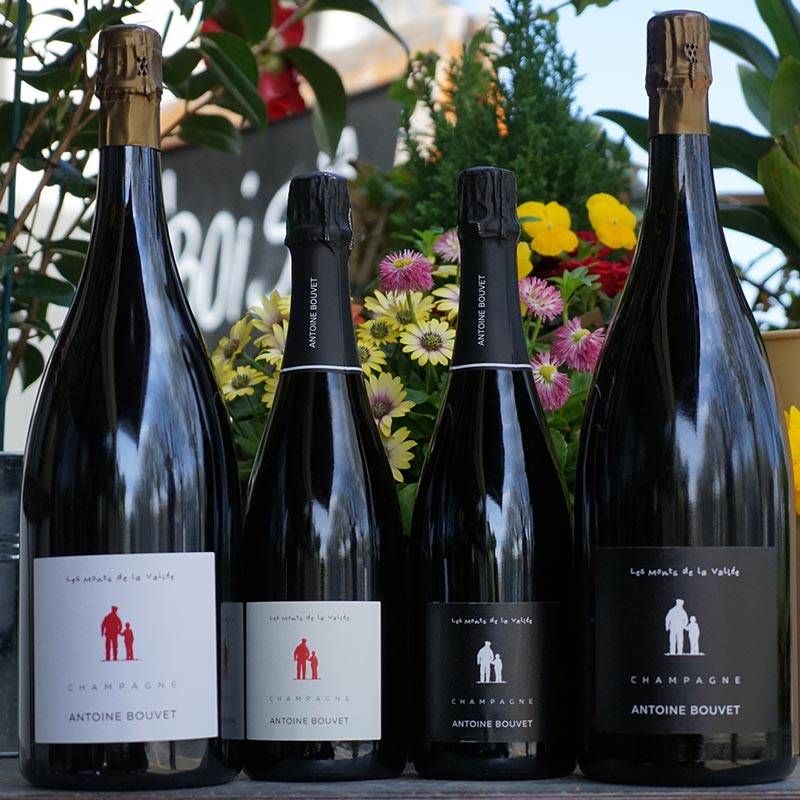 Les Monts de la Vallée Magnum  - Antoine Bouvet