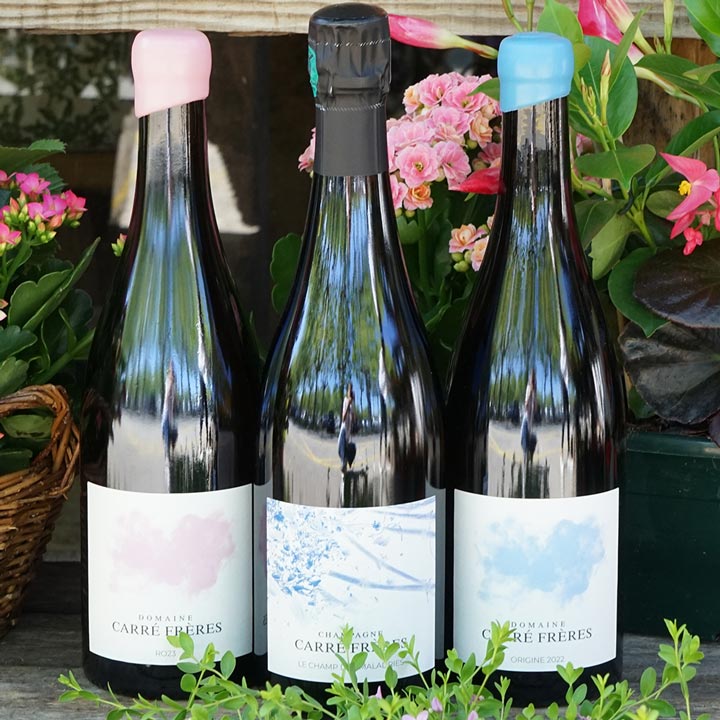 Origines 2022 - Domaine Carré Frères