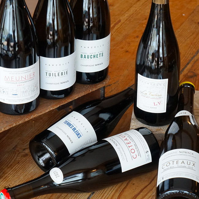 Coteaux Champenois Rouge 2021 - Flavien Nowack