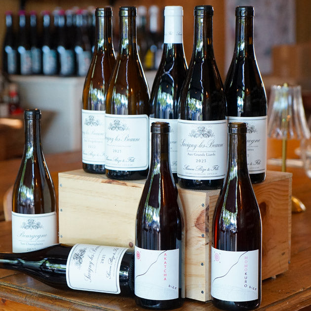 Savigny les Beaune Blanc 2023 - Simon Bize