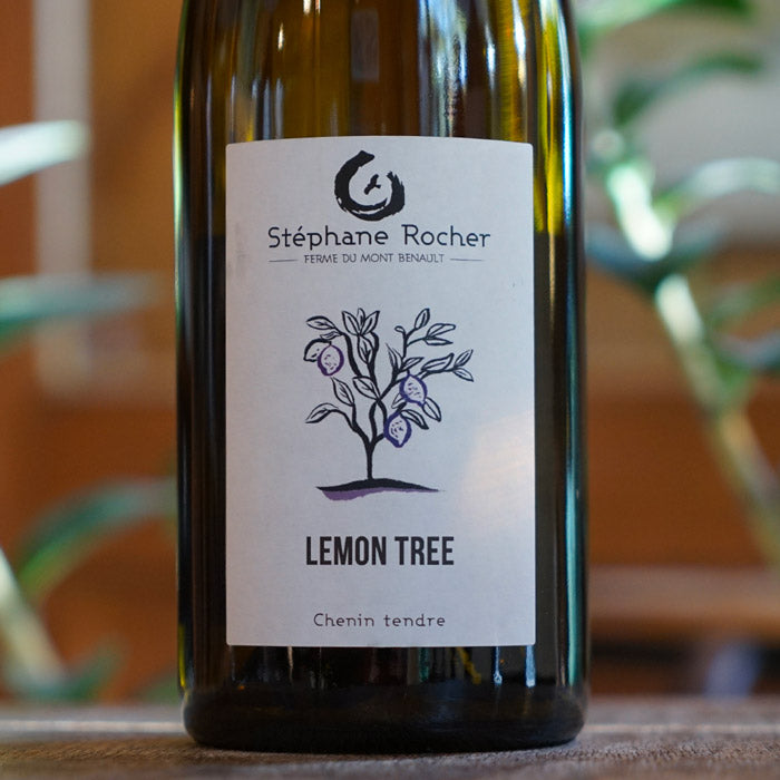 Lemon Tree 2024 - La Ferme de Mont Benault