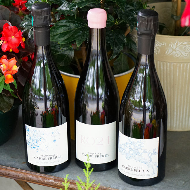 Coteaux Champenois Rosé 2024 - Domaine Carré Frères