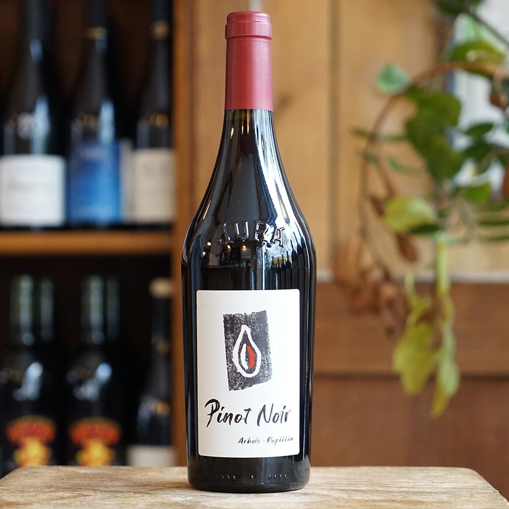 Pinot Noir 2023 - Kevin Bouillet