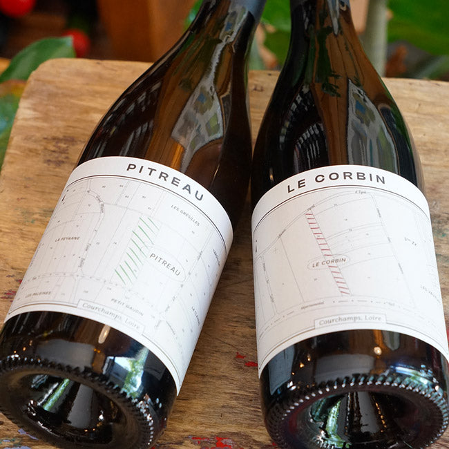 Saumur Rouge "Le Corbin" 2024 - Théo Blet