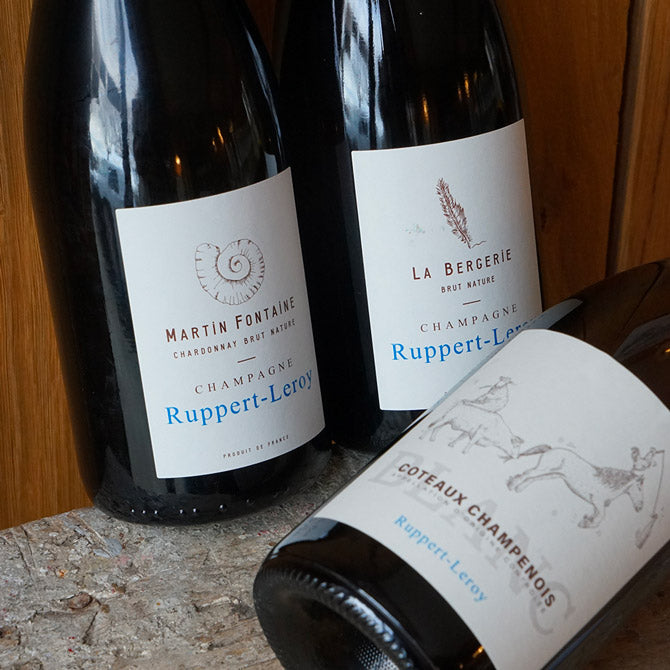 Coteaux Champenois Blanc 2019 - Ruppert-Leroy