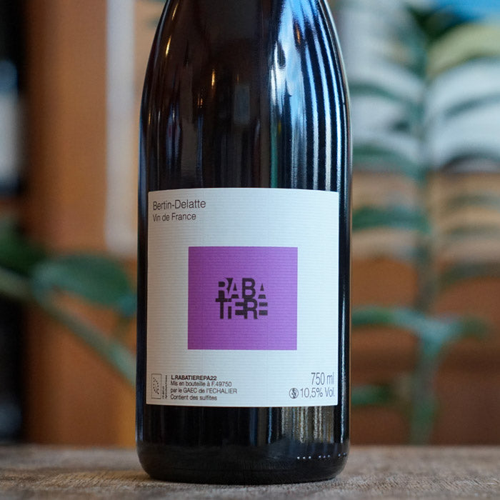 Pineau d'Aunis "Rabatière" 2022 - Domaine Bertin-Delatte
