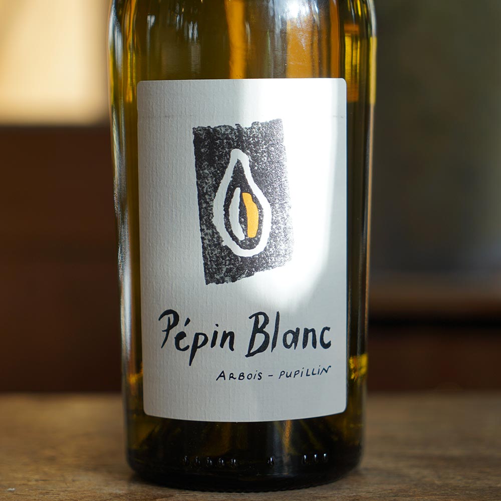 Pépin Blanc 2023 - Kevin Bouillet