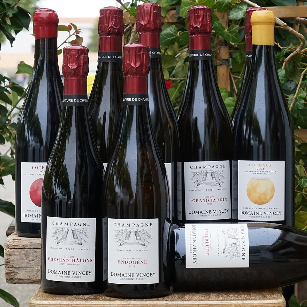 Coteaux Blanc 2021 Chardonnay sous voile terroirs Le Mesnil & Oger Grand Cru - Domaine Vincey
