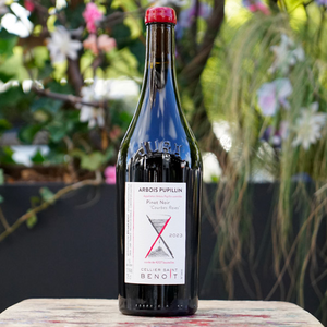 Pinot Noir "Courbes Raies" 2023 - Cellier Saint Benoit