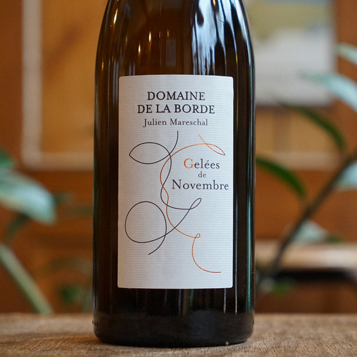 Gelée de Novembre 2020 - Domaine de la Borde