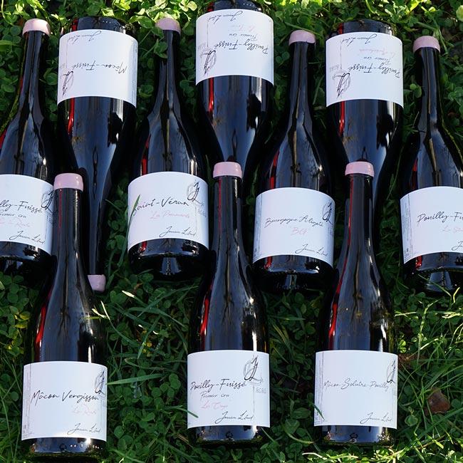 Pouilly-Fuissé 1er Cru "Andréa" 2021 Magnum - Jessica Litaud