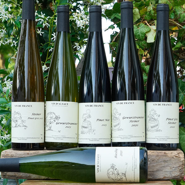 Pinot Noir 2023 - Jean Ginglinger