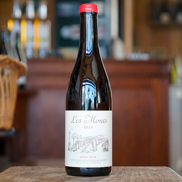 Hautes Cotes de Beaune "Les Crucibées" Rouge 2024 - Les Monts