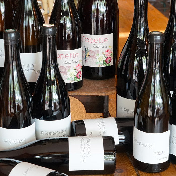 Hautes Côtes de Beaune Blanc 2023 - Marthe Henry
