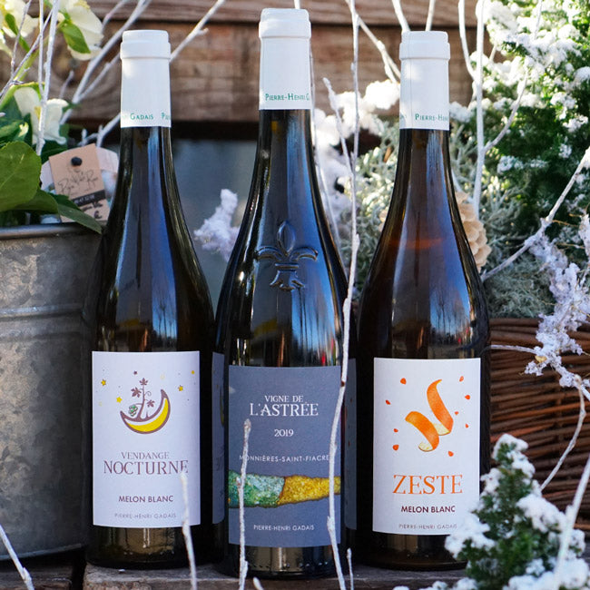 Vigne de l'Astrée 2019 - Domaine Gadais