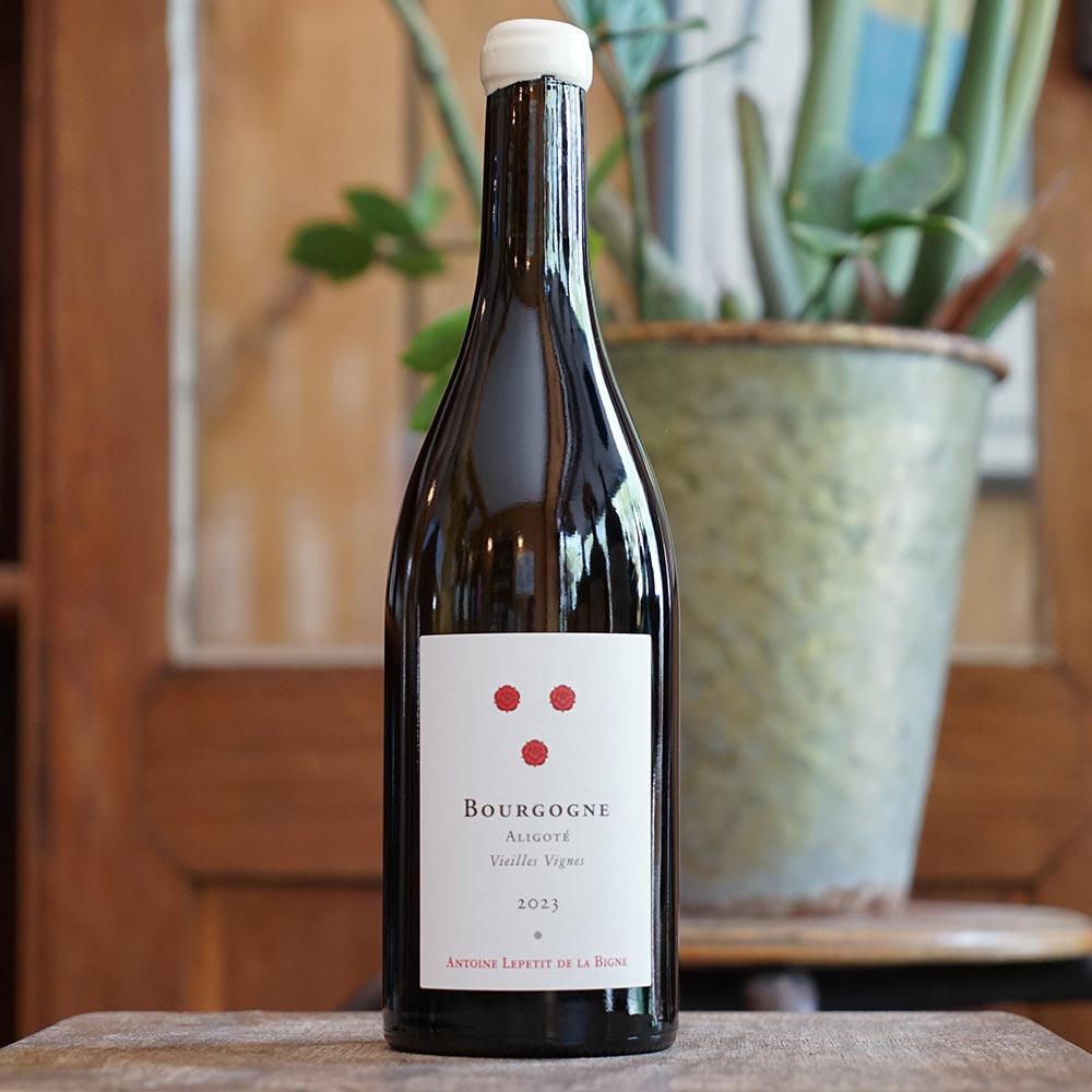 Bourgogne Aligoté "Vieilles Vignes" 2023 - Antoine Lepetit de la Bigne