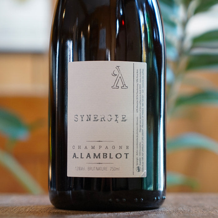 Synergie 2020 - Alexandre Lamblot