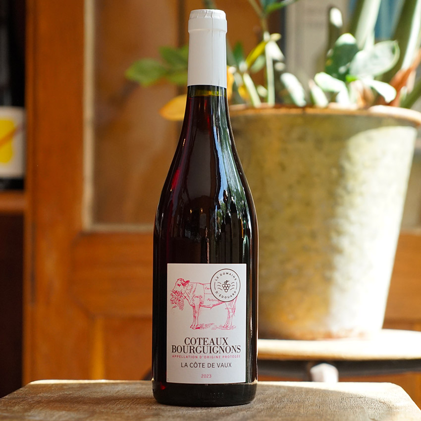 Coteaux Bourguignons Rouge 2023 - Le Domaine d'Edouard