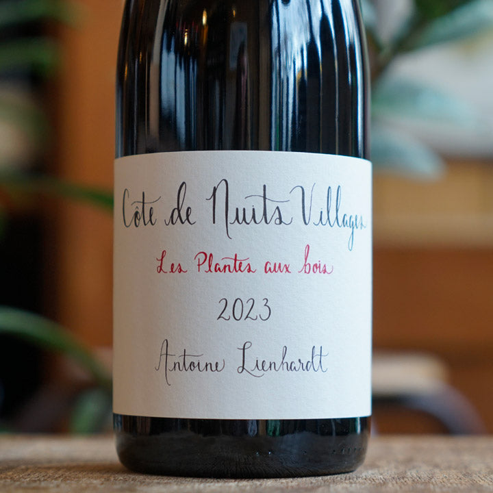 Côte de Nuits Villages "Les Plantes Aux Bois" 2023 - Antoine Lienhardt