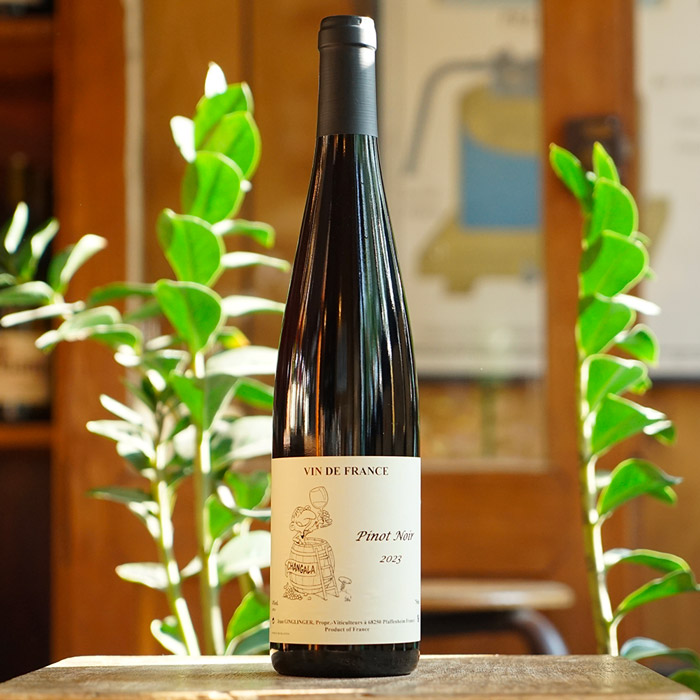 Pinot Noir 2023 - Jean Ginglinger