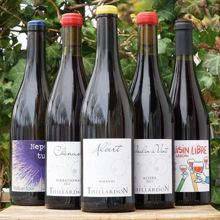 Cuvée Albert 2018 - Domaine Thillardon