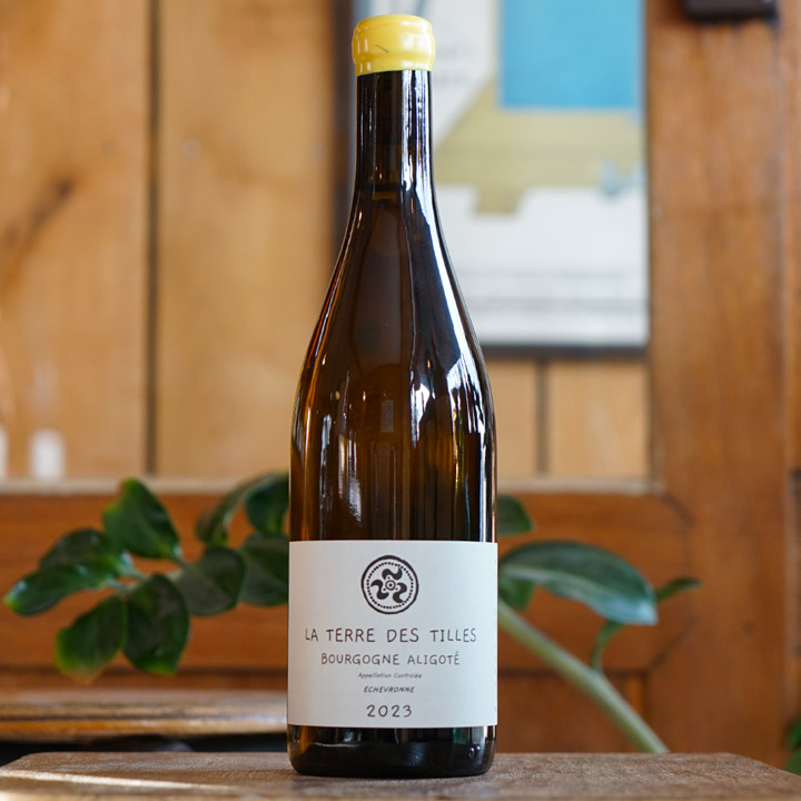 Aligoté Echevronne 2023 - La Terre des Tilles