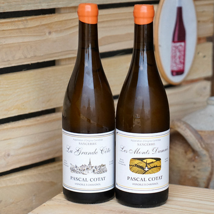Sancerre "Les Monts Damnés" 2024 - Pascal Cotat