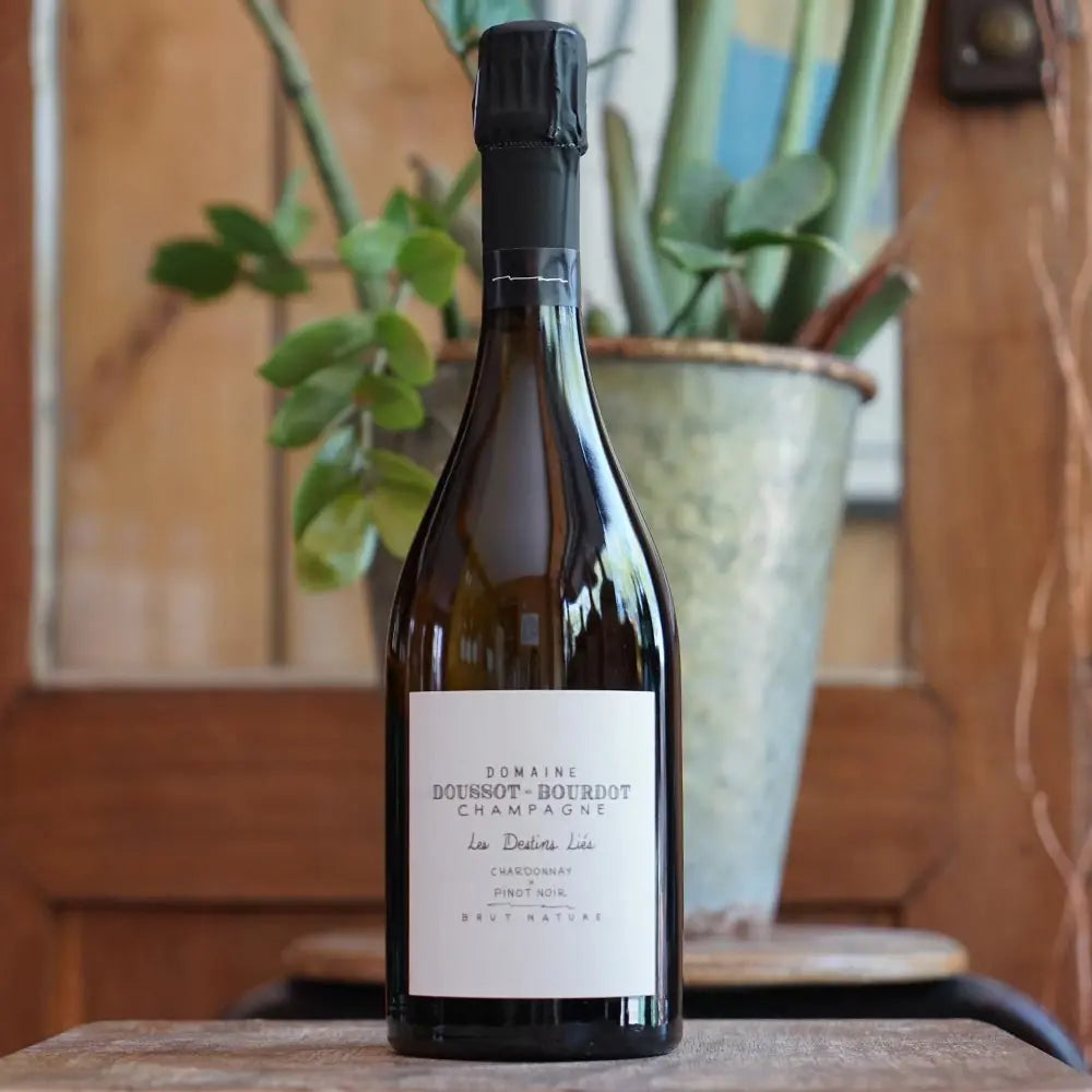Destins Liés 2021 - Domaine Doussot Bourdot