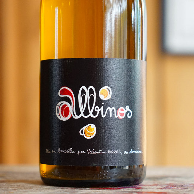 Albinos 2025 - Valentin Morel