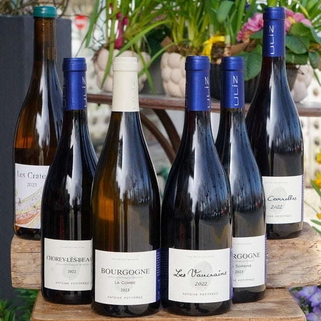 Haute Côte de Beaune Blanc "Les Craies" 2023 - Antoine Petitprez