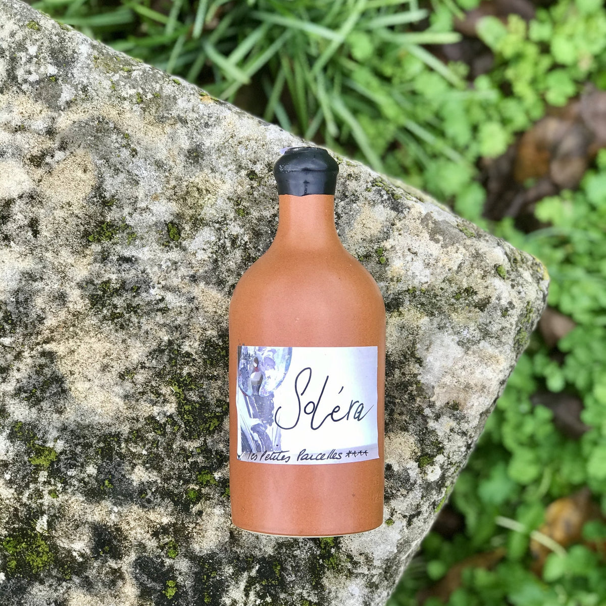 Soléra - Les petites parcelles